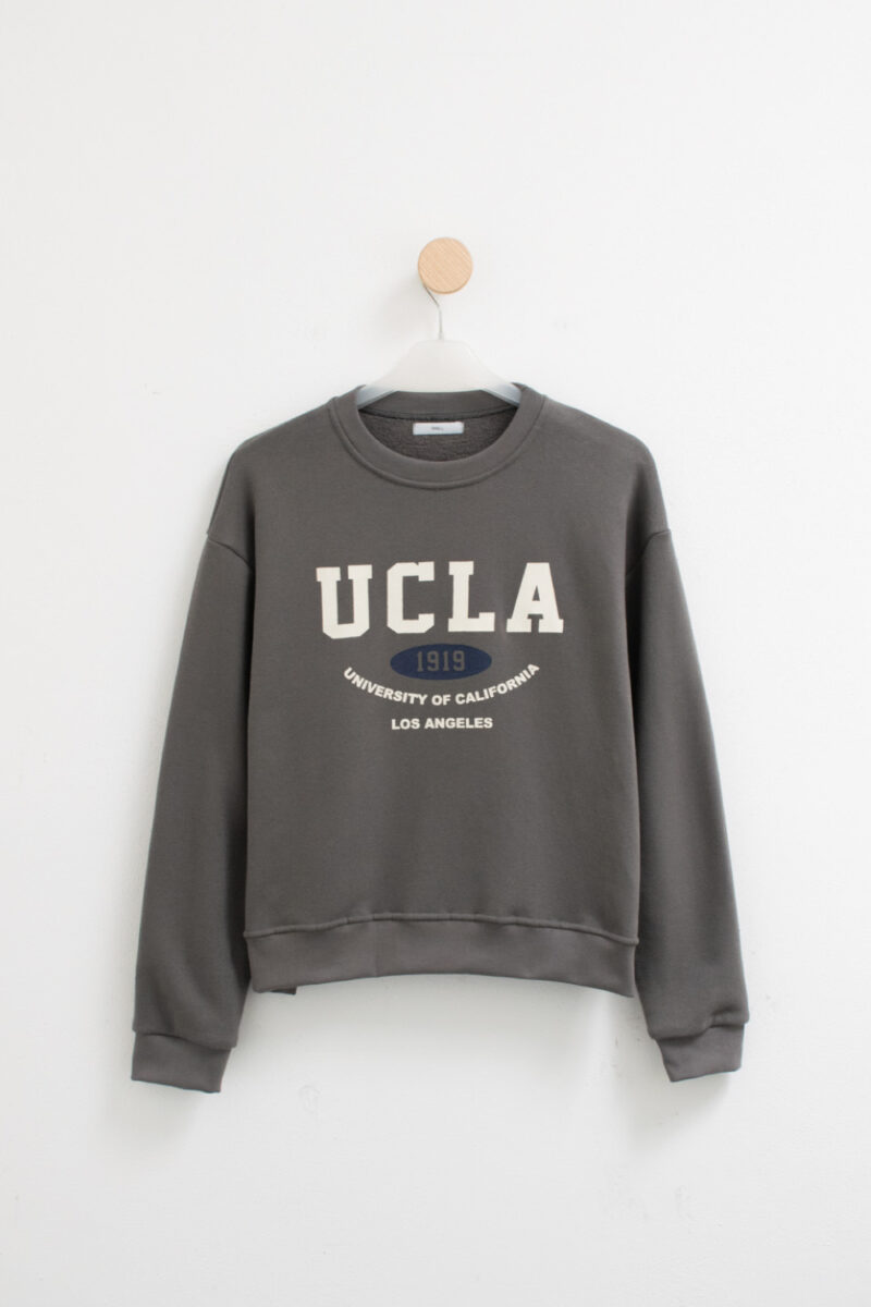 IRIS EST. UCLA - Imagen 2