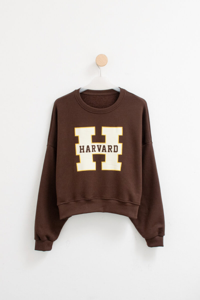 LARRY EST. HARVARD - Imagen 3