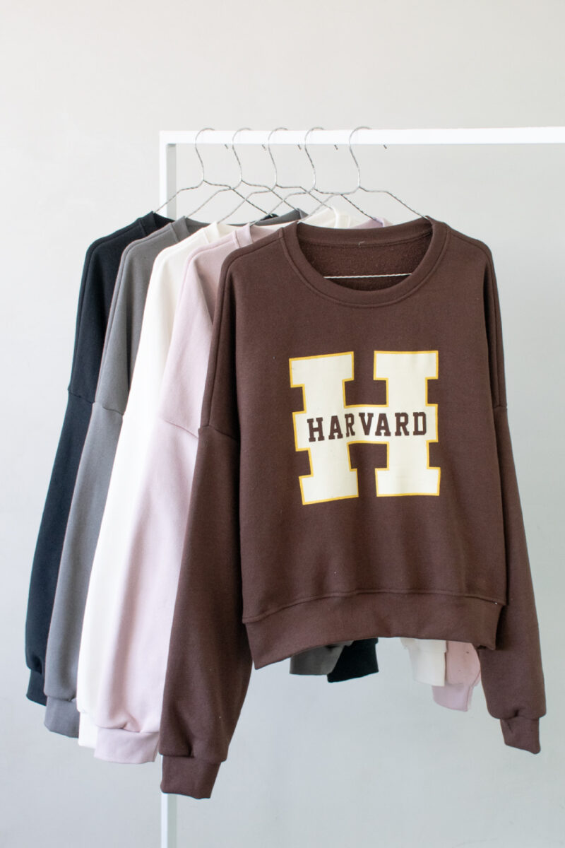 LARRY EST. HARVARD - Imagen 2